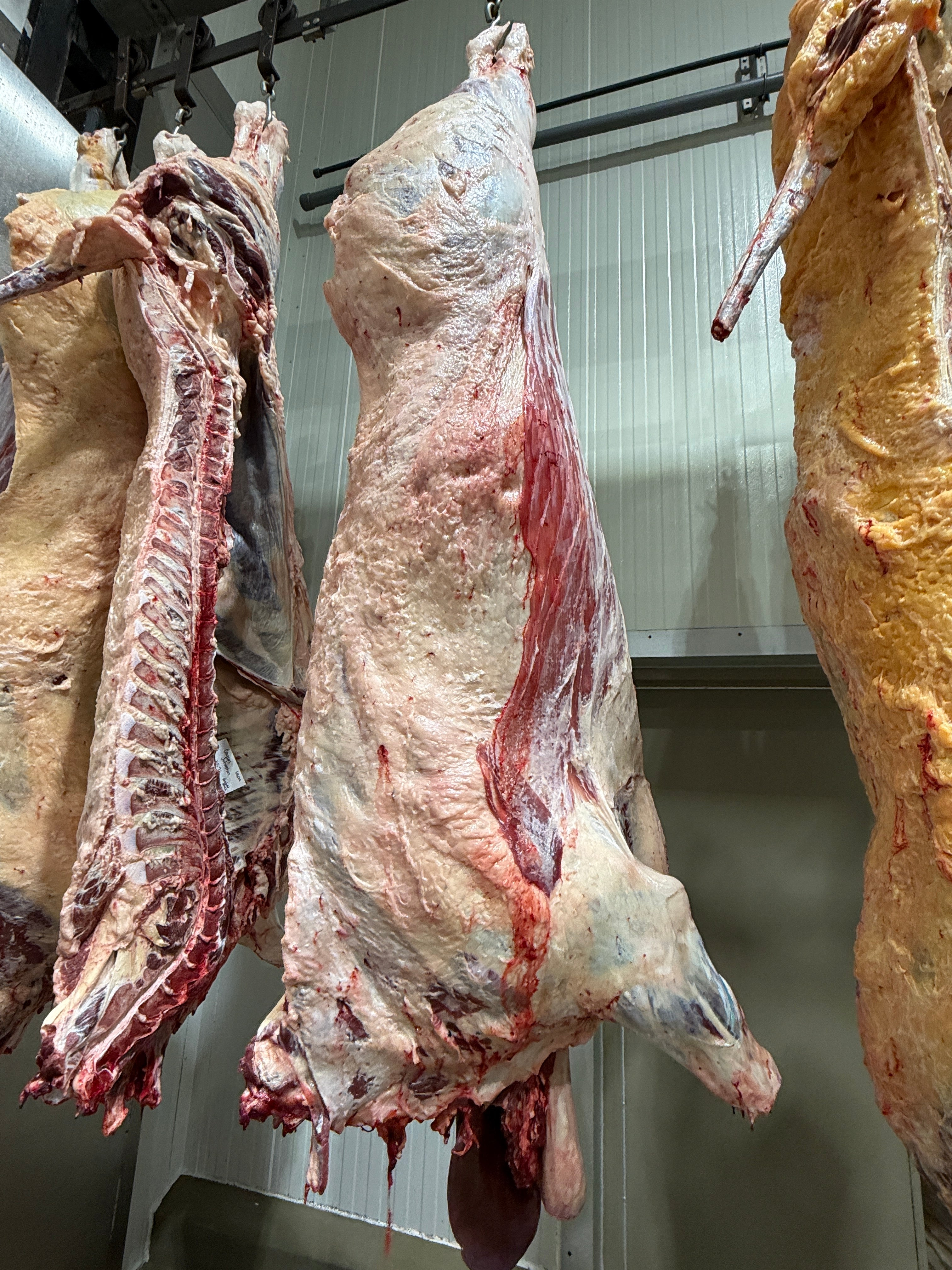 Half Beef Deposit
