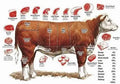WHOLE BEEF DEPOSIT