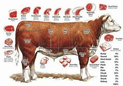 WHOLE BEEF DEPOSIT